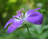 ���� � ������ �������� ����� ����� ���������� ���-������ ���������. ������� ��������� ������, ��������.