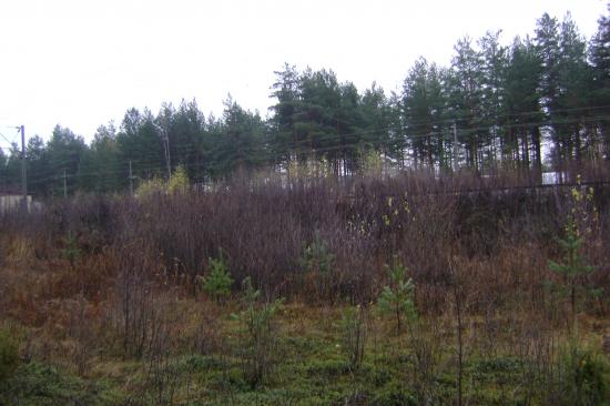 ��� 4.����� ��� ���������,��� ����������� ������.(�)