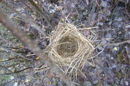 ��� 2.������,��� � �����. (�)