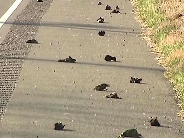 �� � ����� _��