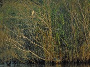 DSC00638-min.JPG