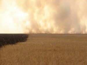 �������� �������� ������ ����������� ����������� ����������