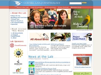 ��������� ���������� ��� ���������� �� �������