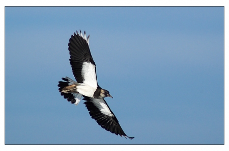 ��������� ��� ������ ��������� � ��������� � 2004 ����