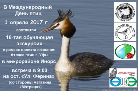 ������������� ���� ���� � � �������� �������� �����������