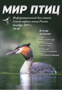 �������� ����������� ������ ������ ��������� "��� ����"