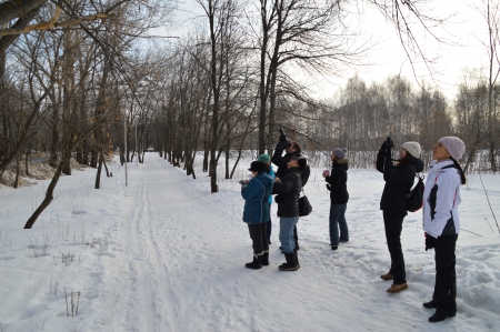 ���������������� ��������� � ����������� ĸ�� � ���