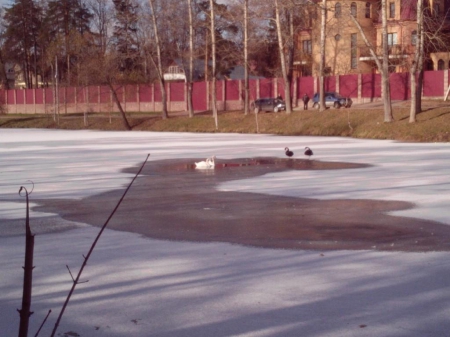 � ���������� ��������� ������