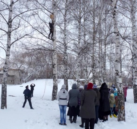 ������� ������ ���