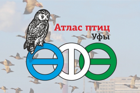 ������ �������� ������ ���� ������ ��� � ����� ������ 2017-2018 ��.