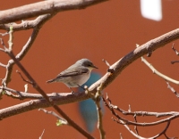 IMG_7889.JPG