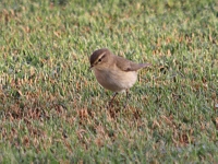 IMG_5836.JPG