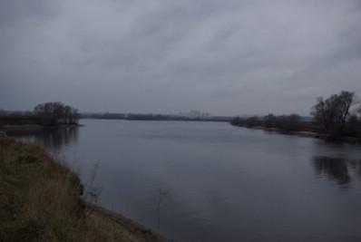 ��������� ����� ����������� ����� ������������� ���� �� ���� ������ � 2013 �. 