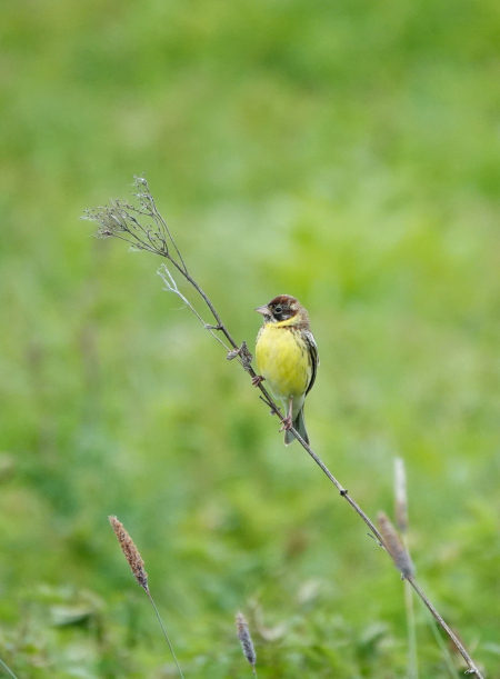 ����� ���� � ������������ ���������� ����������� � ���� 2023 �.