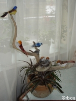 DSC02014.JPG