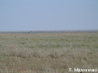 DSC06816.JPG