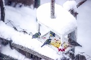 IMG_4245.jpg