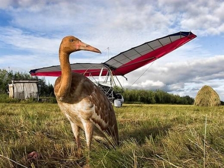 ������ �������.LIVE�