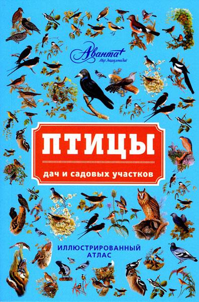 ����� ��� � ������� ��������