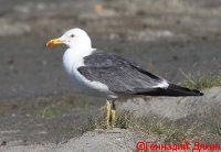 IMG_2656