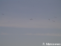 DSC06815.JPG