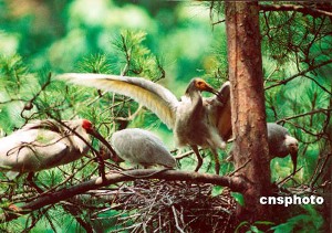 ����������� �����  ���������� � ����������� � ������