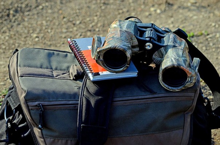 ��� ���������� ���� � �������� ������� � ����������� ���������