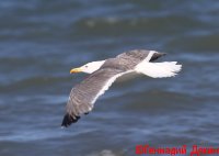 IMG_2557