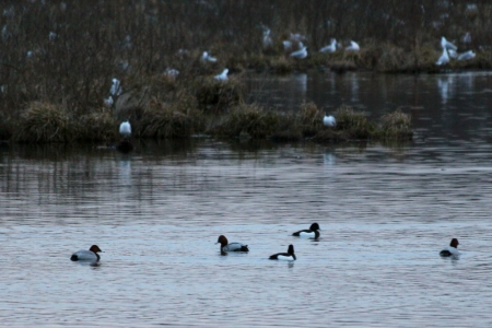 ���������� �� ���������