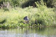 IMG_3199.JPG