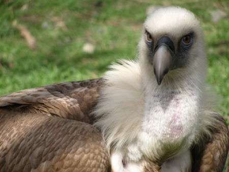  ������� ���������� �� �������� � ����� ����� �������� �� ������ ������ � �����