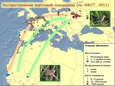 ����������� ����������� ��� ���� ������� � ��������