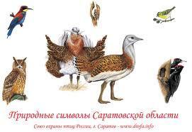 C�������� ������� ����� 