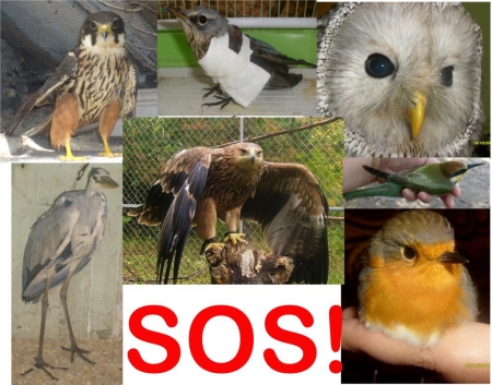 ���������� ����� �������� ����� ���� ������ ������!