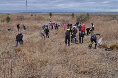 ������������ ���� ������� ���� �  ������������ ����� 