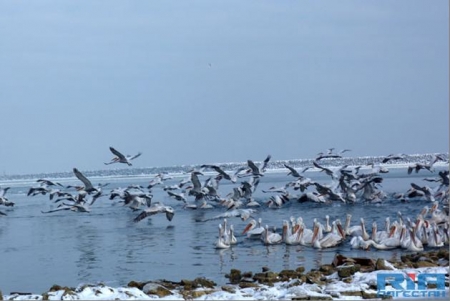 �������� ����� ����!