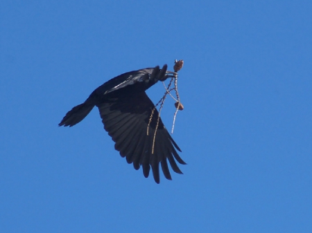 ����� � �e�e���e ���e��� � ����� ����, �e����� 2017