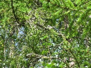 IMG_5687.JPG