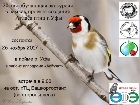 ���������������� ��������� �2 ���� ������� �������� ������ ���� �. ����