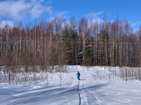 ���. ������������ ���� �����������. ������� 2022 �.