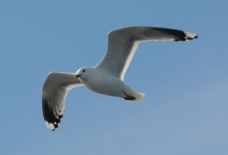 �����-2013: ���� �� ����. 6 ������