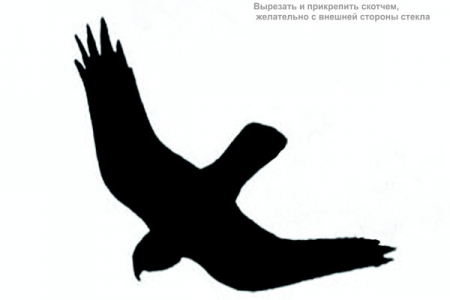 ������ ������ ����� �� ������ ����������