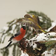 IMG_0365_302.jpg