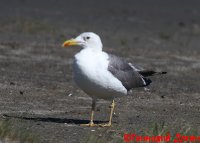 IMG_2590