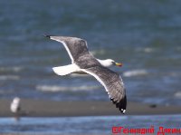 IMG_2573