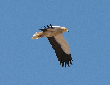 ����� � 2012: ���� �� ����.  8  ���