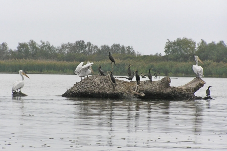 ���������� 32-� ��������� �����-������������ ���������������� ������� ������