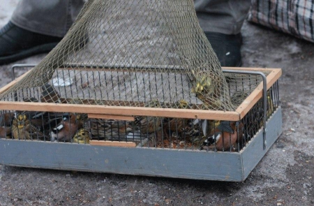 ������������ � �����