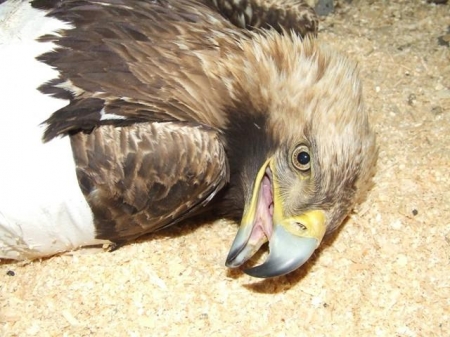 � ���� ���� ������  ���������� ����