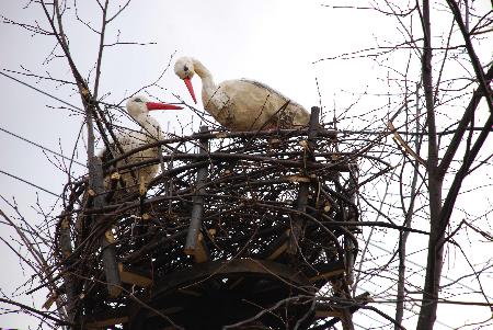 � ����������, �������� �����! 